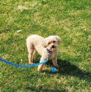 Meet your Posher, Mandy